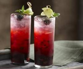 Blackberry Mojito